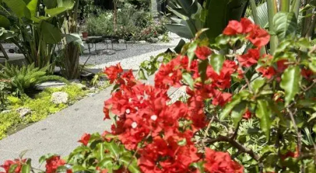 Anyue Mountain & Sea Seasons Holiday Hotel, Prenota Hotel Hotel a Dali con parcheggio, Parcheggio
