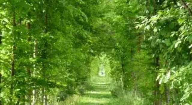 Agriturismo Ca Marcello