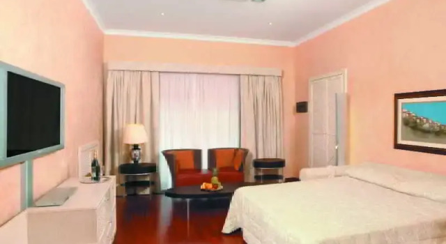 Полулюкс Standard Colosseo Studio Suite