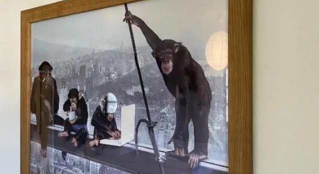 Ferienwohnung „Monkeybox“, Varaa Huoneisto Hotellit Baijeri pysäköinnillä, Pysäköinti