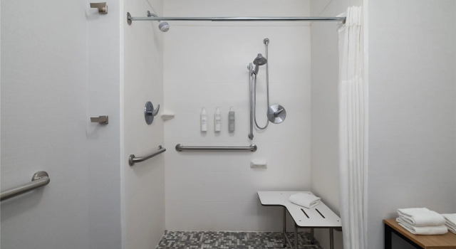 Люкс Hampton Inn & Suites - Roanoke-Downtown, VA