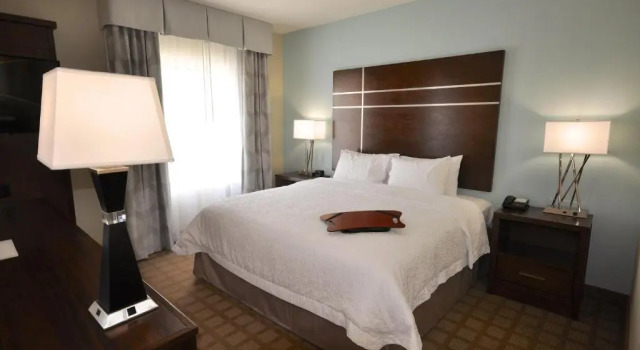 Студия Hampton Inn & Suites Hutto Austin