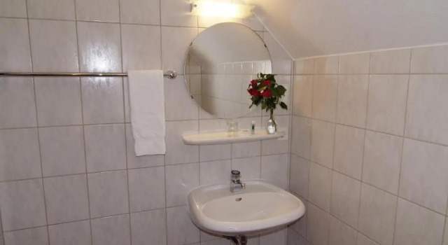 Одноместный номер Standard Hotel Zur Traube