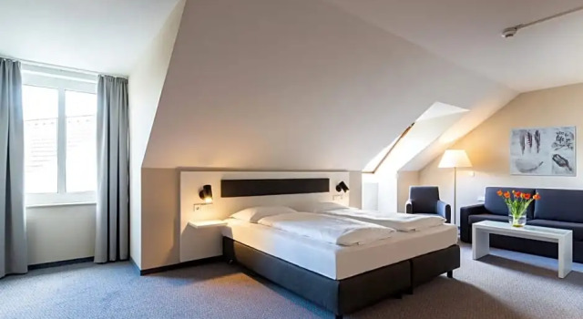 Номер Superior Erikson Hotel