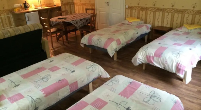 Номер Standard Nurmeveski Guesthouse