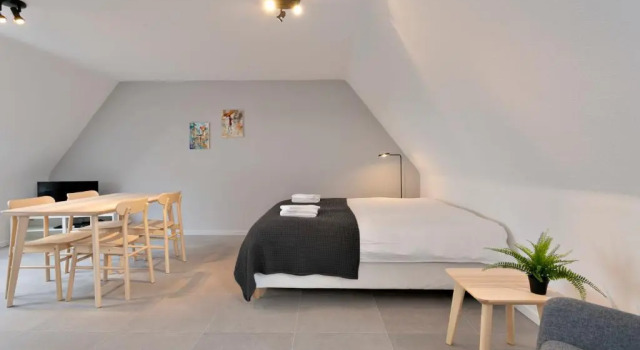 Студия Warm Lofty and Spacious Studio