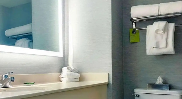 Номер Standard Radisson Hotel Niagara Falls-Grand Island