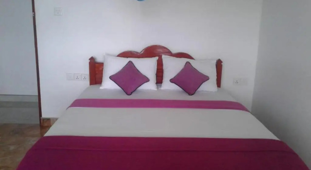 Ella Golden view guest