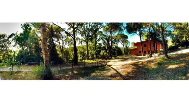 Коттедж Agriturismo Poggio al Pino