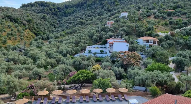 Номер Standard MANGO Skiathos