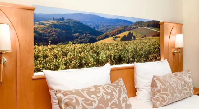 Двухместный номер Standard Akzent Waldhotel Rheingau
