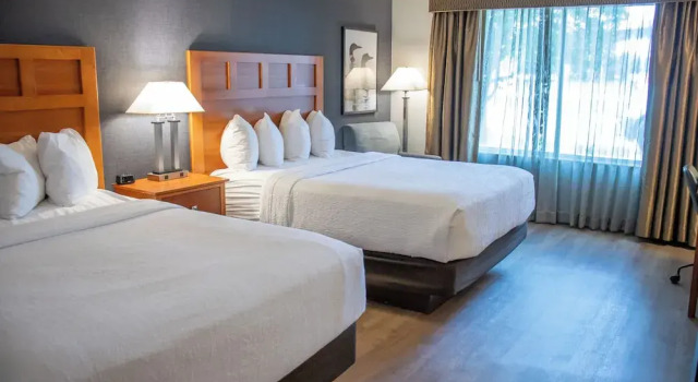 Номер Deluxe Wyndham Bloomington - Mall of America