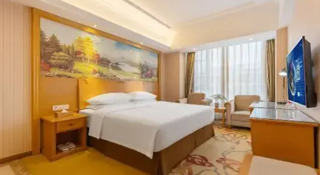 Люкс Vienna Hotel Chengdu Airport Xiedu