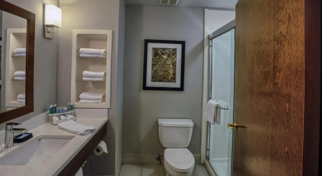 Четырёхместный номер Standard Holiday Inn Express Hotel & Suites Pell City by IHG