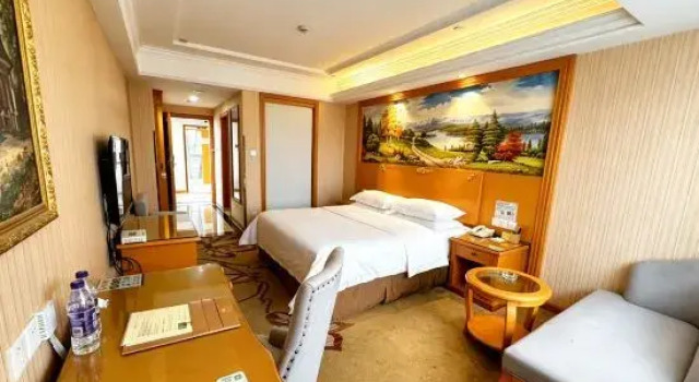 Люкс Business Vienna Hotel (Taixing Gulou Xintiandi Sports Center)