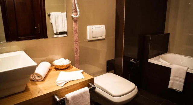 Номер Superior Paj Hotelul Retreat & Spa