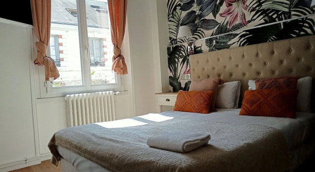 Люкс Comfort Logis Hôtel Louise de Savoie
