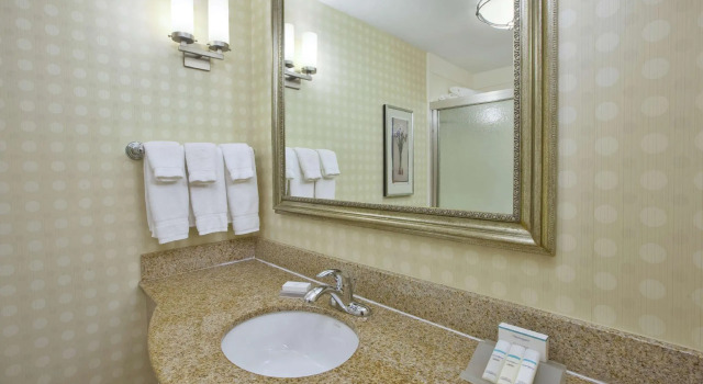 Двухместный номер Standard Hilton Garden Inn Clarksburg