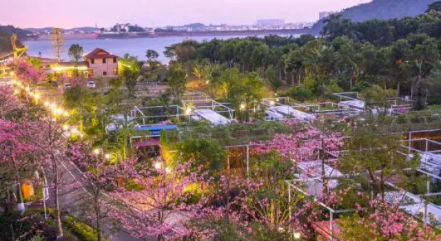 Guangzhou North Trail Camping Camp No. 1, Prenota Campeggio Campeggi e glamping a Guangzhou Area, Campeggio