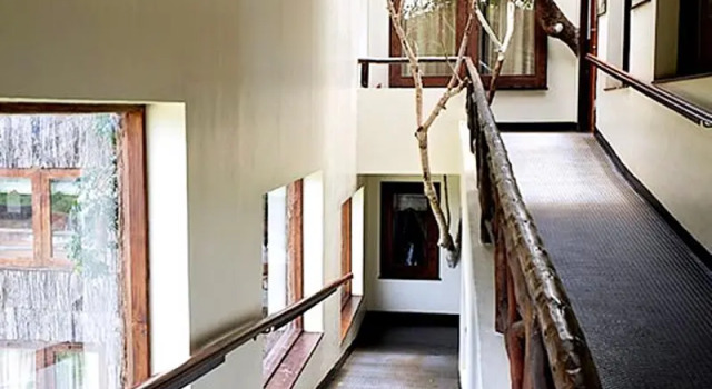Treetops Lodge