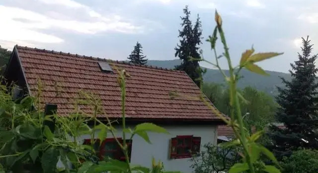 Mókus Ház