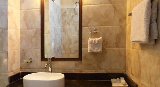 Двухместный номер Classic Perch Arbor Suites