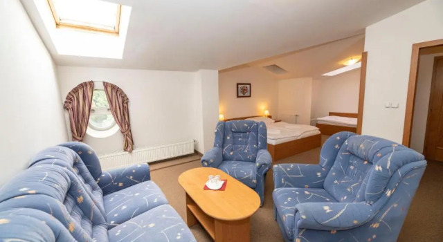 Трёхместный номер Standard Hotel Paris