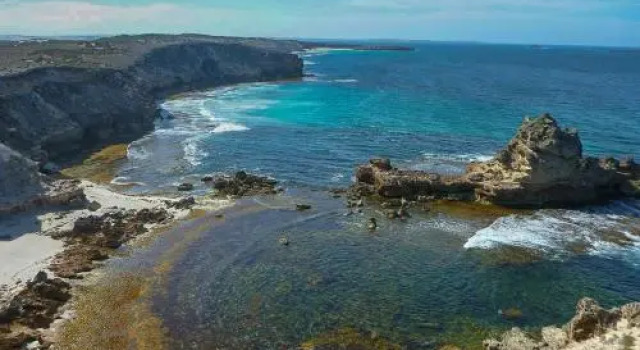 Willygunyah, Book Hotel Coffin Bay South Australia
