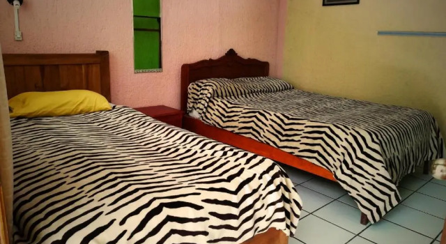 Номер Standard Iguana Hostel