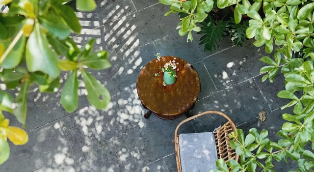 Кровать в общем номере Okra Hoian