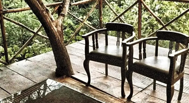 Коттедж Deluxe The Tree House Resort