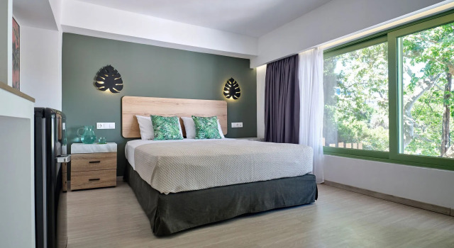 Двухместный номер Standard с видом на море The Tree Suites