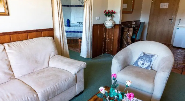 Номер Standard Hotel Kriunes