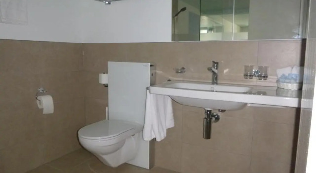 Двухместный номер Standard Hotel Metzgern