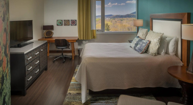 Номер Standard Hotel Indigo Asheville Downtown by IHG