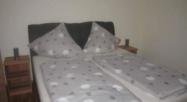 Апартаменты Ferienwohnung Hohenbogen