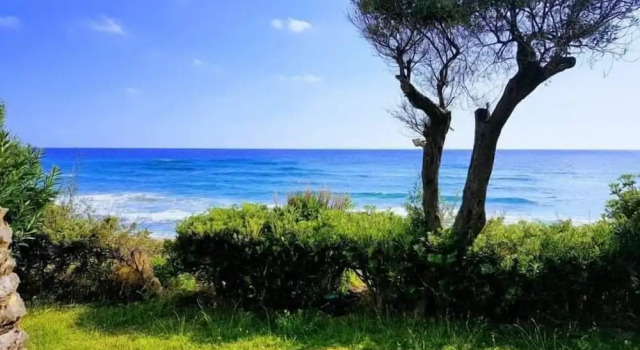 Коттедж c 1 комнатой Corfu Island Apartment 49