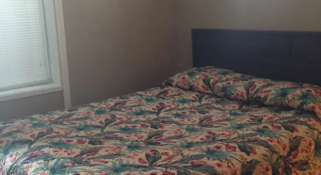 Двухместный номер Economy Oasis Motel