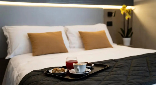 Двухместный номер Superior Hotel Plaza