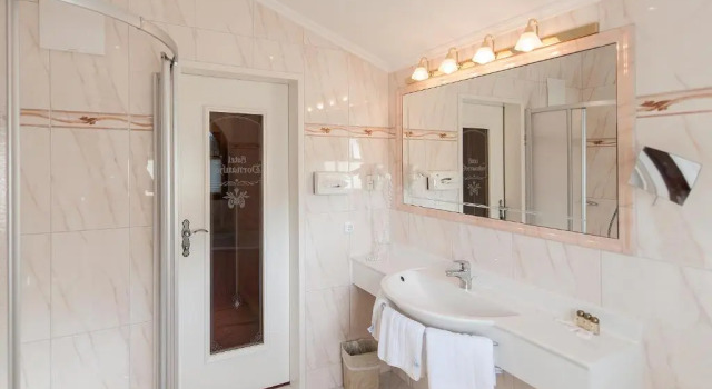 Номер Superior Hotel Dornauhof