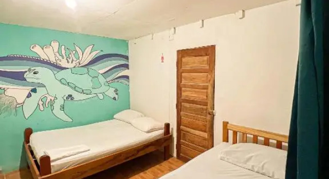 Двухместный номер Standard Bellas Backpackers Hostel