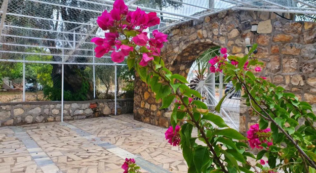 Dilek Agaci Butik Otel, Rezervovat Hotel Karaburun Aegean Region