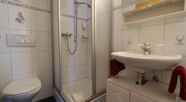 Трёхместный номер Standard Hotel Alpina