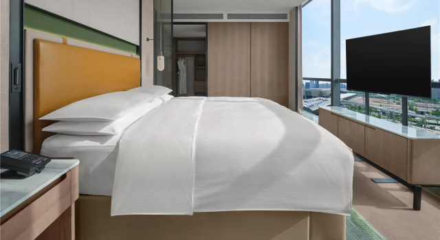 Люкс Deluxe DoubleTree By Hilton Zhengzhou East