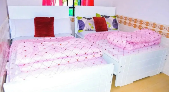 Номер Deluxe Majestic Airport Villa