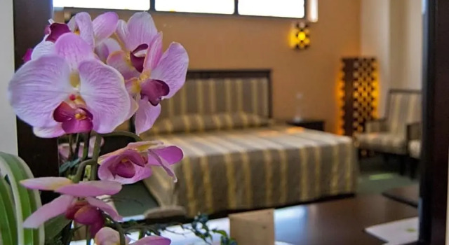 Люкс Standard Hotel Tecadra