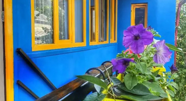 Номер Standard Guesthouse Four Seasons