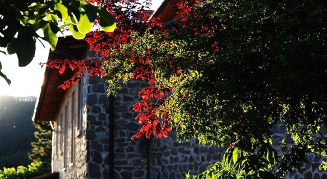 Borgo I Tre Baroni Hotel Ristorante, Book Hotel Hotels in Poppi with a Pool, Swimming Pool