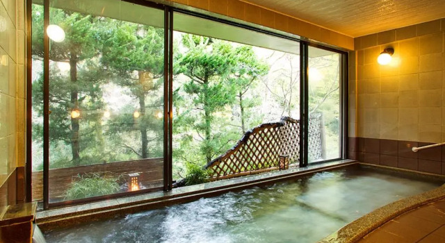 Номер Economy Japanese-Style Nanten-En