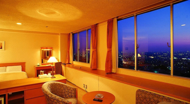 Полулюкс Standard Hotel Seiryu